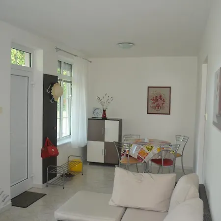 Apartman Karolina 帕廷斯